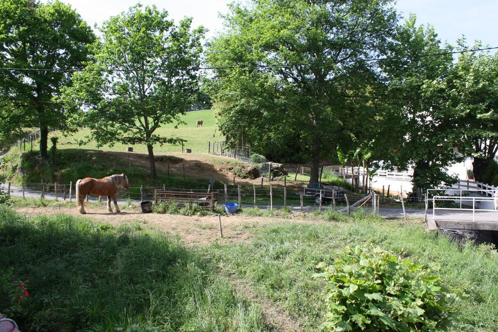 Location Eyheraldia - Votre T3 Au Coeur Du Pays Basque Hasparren Zimmer foto
